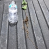 Greenway Growers gallery