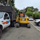 JB Tree365 LLC - Tree Service