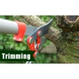 Pete's Pruning & Tree Service
