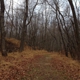 New Jersey Audubon's Plainsboro Preserve