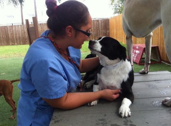 Rutherford Veterinary Hospital - Dallas, TX