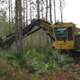 Jaguar Land Clearing