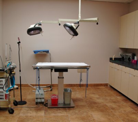 Cornerstone Animal Clinic - Dallas, TX