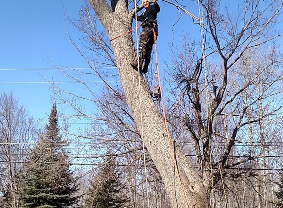 Scott's Custom Tree Care