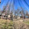 Cody's Tree Services gallery