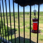 Estates At Briggs Ranch