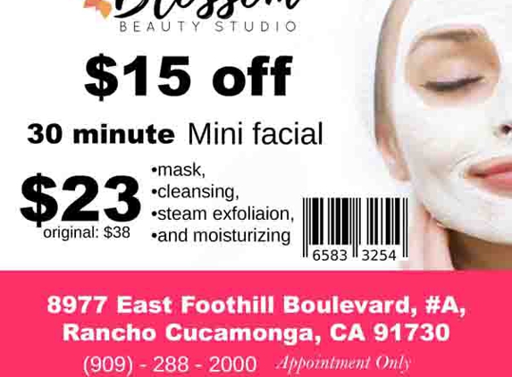 Blossom Beauty Studio - Rancho Cucamonga, CA