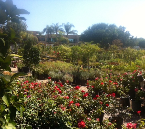 Green Landscape Nursery - Santa Clarita, CA