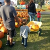 Swan Pumpkin Farm gallery