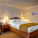 The Arbor Inn - Monterey - Hotels