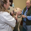 Oak Forest Veterinary Hospital gallery