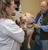 Oak Forest Veterinary Hospital - Animal Shelters
