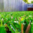 Dallas Lawn -N- Mow - Landscaping & Lawn Services