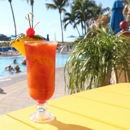 Bongos Beach Bar & Grille - Bar & Grills