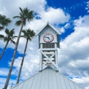 Silver Surf Anna Maria Island - Hotels