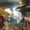 Whale Museum gallery