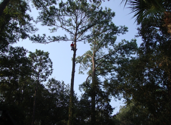 Almighty Tree Service