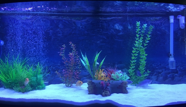 Ray Aqua Scaping - Allentown, PA