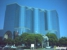 Trinity Staffing Services - Executive Search Consultants
