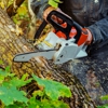 Action Jackson Tree Service gallery