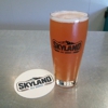 Skyland Ale Works gallery