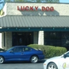 Lucky Dog Grooming gallery