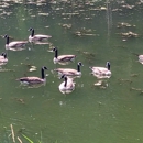 PPL Susquehanna Riverlands - Parks