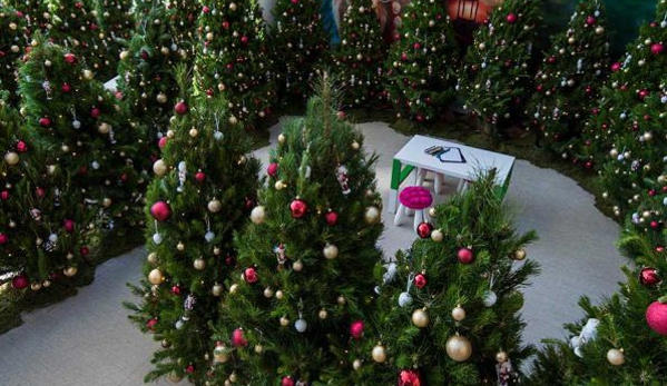 Santa's Shaped Christmas Trees Pty Ltd - Gundaroo, NSW