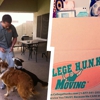 College Hunks Hauling Junk and Moving Lincoln gallery