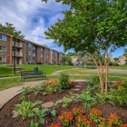 Stony Brook Apartments