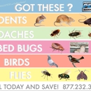 Professional Pest Management