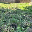 Sisco Sprinkler Repair - Lawn Maintenance