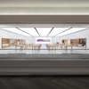 Apple Woodfield gallery