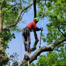 Prairieville Tree Service - Tree Service