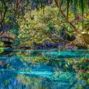 Staybridge Suites Ocala-Near Equestrian-Aquatics by IHG - Hotels