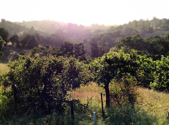 Palo Alto Hills Golf & Country Club - Palo Alto, CA