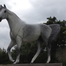 Jamaica Bay Riding Academy Inc - Horse Rentals