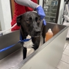 VCA Preston Park Animal Hospital gallery