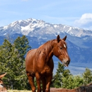 Flying Pig Adventures: Yellowstone Whitewater Rafting - Boat Rental & Charter