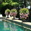 Good Natured Gardening - Landscape Designers & Consultants