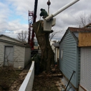 Douglas Tree & Property Service - Tree Service