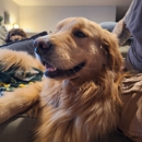 A Spot in the Sun - Pet Services
