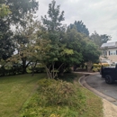 Tactical Timber Tippers Tree Service's