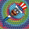 Magic Mushrooms Dispensary gallery