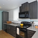 The Douglas - Student Housing Apartments - Apartments