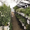 Tractor Supply Co gallery
