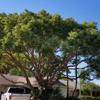 Bullie's Complete Tree Service & Landscape Design gallery