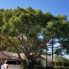 Bullie's Complete Tree Service & Landscape Design