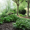 US Lawn & Landscape LLC gallery