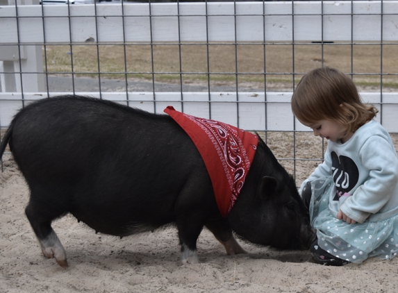 Half Pint Pony Parties & Petting Zoo - Bullard, TX